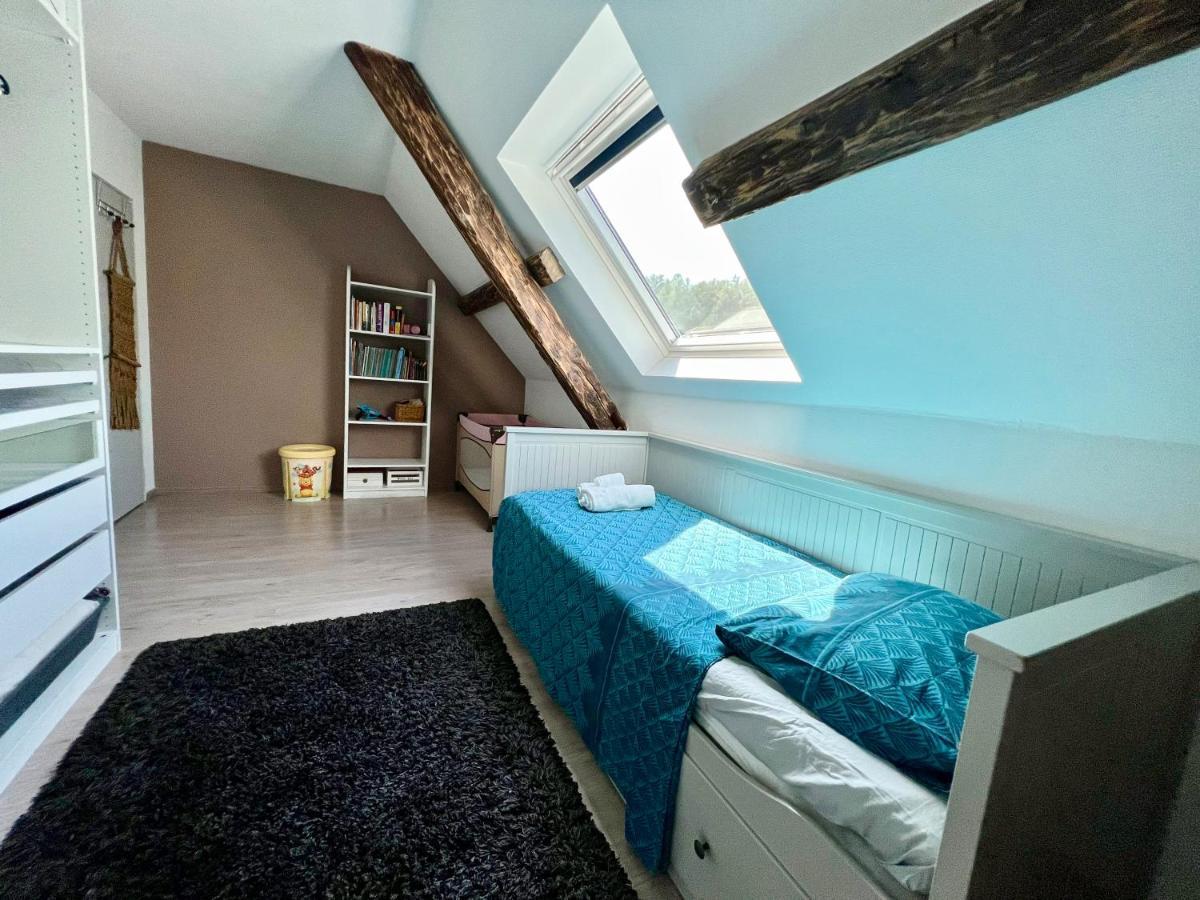 Superbe Appartement Duplex A Kaysersberg En Alsace エクステリア 写真