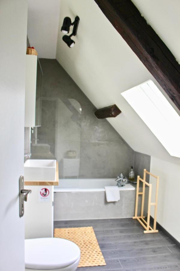 Superbe Appartement Duplex A Kaysersberg En Alsace エクステリア 写真